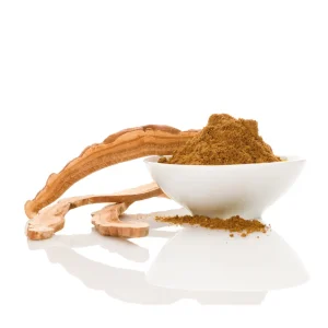 Reishi (Γανοδερμα)