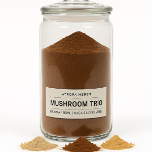 Μανιτάρια Ευεξίας & Άμυνας