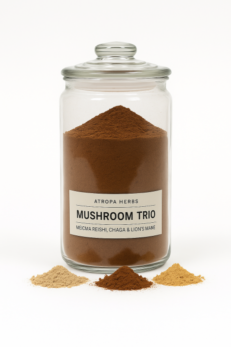 Μανιτάρια Ευεξίας & Άμυνας