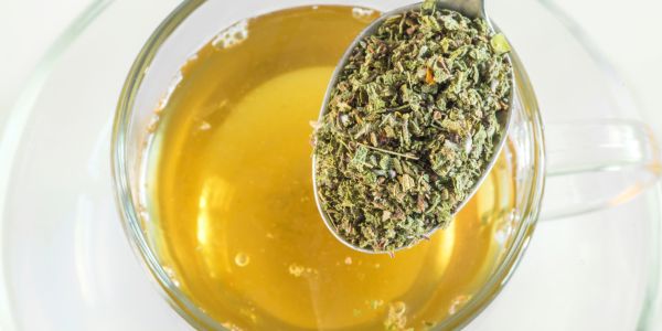 τσάι κίστου με αποξηραμένο βότανο για φυσική ενίσχυση του ανοσοποιητικού